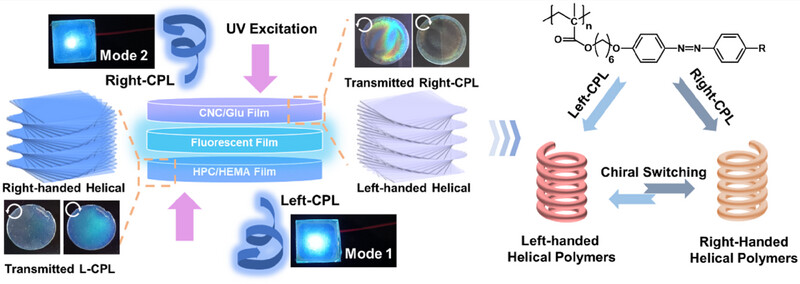 Cellulose-Based Switchable Circularly Polarized Light Emitter: Photo-Actuated Chiral Assemblies With Azobenzene Polymers Issue 3, 2025