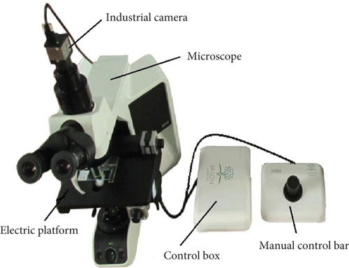 Details are in the caption following the image Details are in the caption following the image