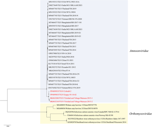 Details are in the caption following the image Details are in the caption following the image