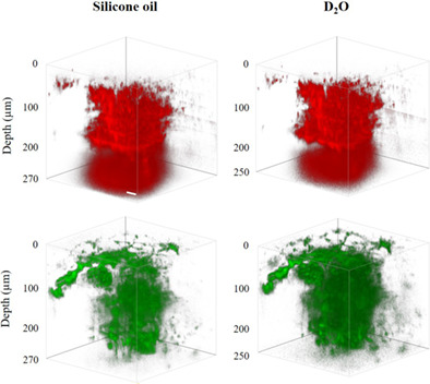Deep-skin multiphoton microscopy in vivo excited at 1600 nm: A comparative investigation with silicone oil and deuterium dioxide immersion