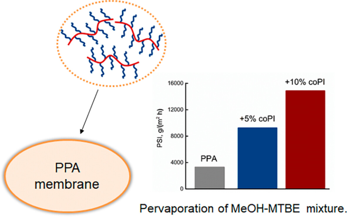 Copolyimide molecular brushes with poly(methacrylic acid) side chains as additive to polyphthalamide membrane: Organization, physical, and transport properties