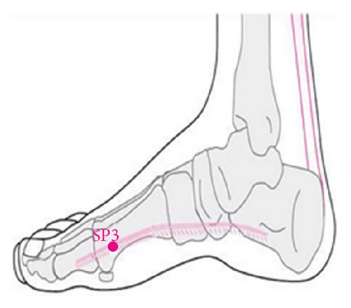 Details are in the caption following the image
