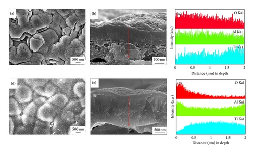 Details are in the caption following the image Details are in the caption following the image