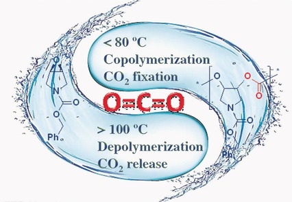 Completely Recyclable Monomers and Polycarbonate: Approach to Sustainable Polymers
