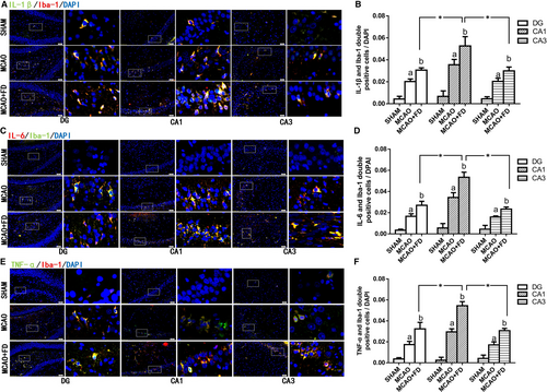 Details are in the caption following the image Details are in the caption following the image