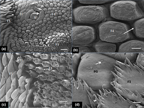 Details are in the caption following the image