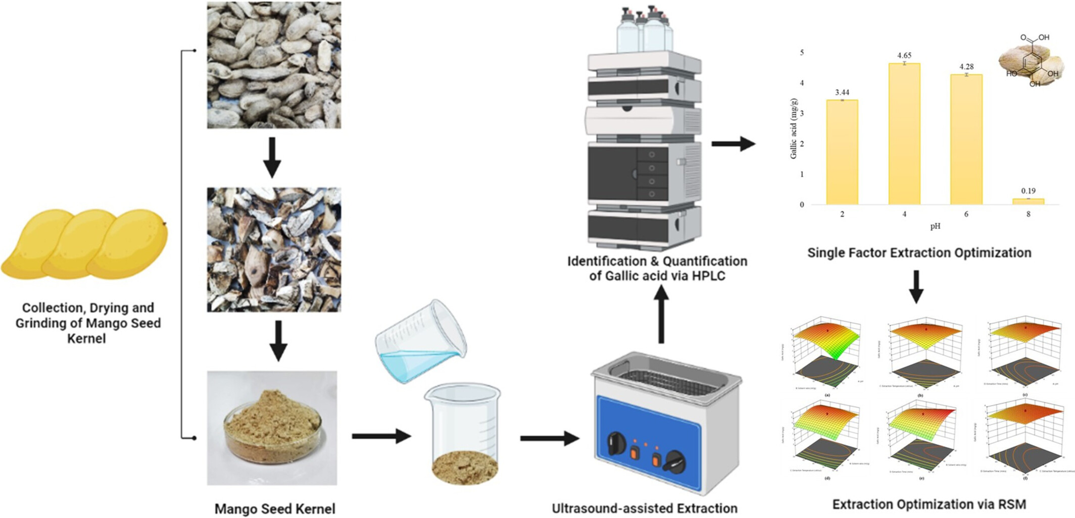Optimization of an ultrasound-assisted extraction method to obtain gallic acid-rich extracts from mango seed kernels