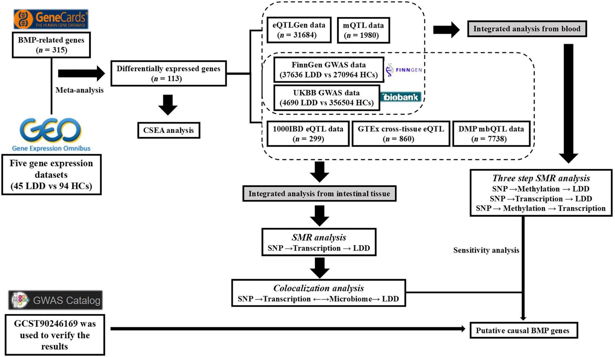 Bone morphogenetic proteins, DNA methylation, and gut microbiota interaction in lumbar disc degeneration: A multi-omics Mendelian randomization study