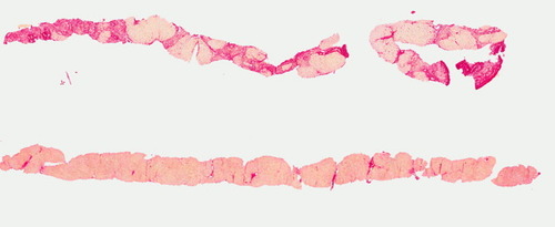 Details are in the caption following the image
