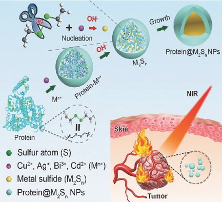 Dual Roles of Protein as a Template and a Sulfur Provider: A General Approach to Metal Sulfides for Efficient Photothermal Therapy of Cancer