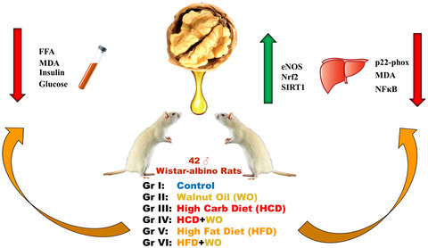 Effects of walnut oil on metabolic profile and transcription factors in rats fed high-carbohydrate-/-fat diets