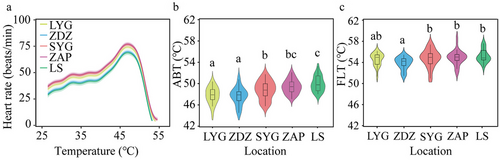 Details are in the caption following the image