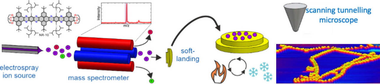 Depositing Molecular Graphene Nanoribbons on Ag(111) by Electrospray Controlled Ion Beam Deposition: Self-Assembly and On-Surface Transformations