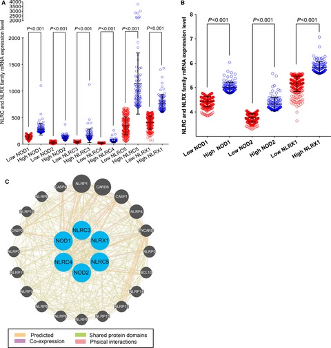 NLRC and NLRX gene family mRNA expression and prognostic value in hepatocellular carcinoma