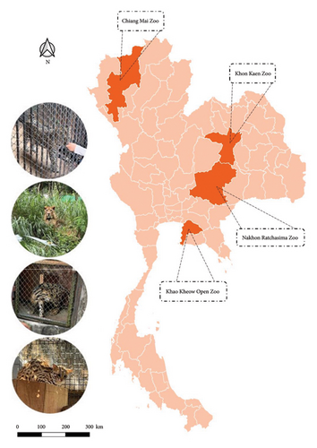 Details are in the caption following the image