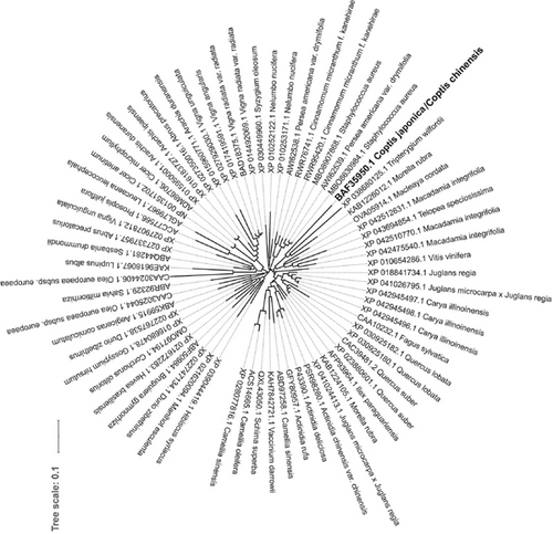 Details are in the caption following the image Details are in the caption following the image