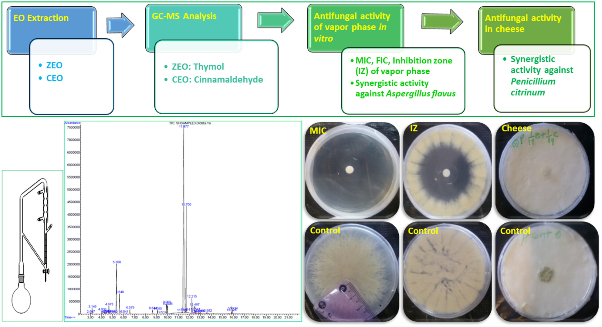 Combined antifungal effects of the vapor phases of Zataria multiflora and Cinnamomum zeylanicum essential oils against Aspergillus flavus and Penicillium citrinum in vitro and cheese