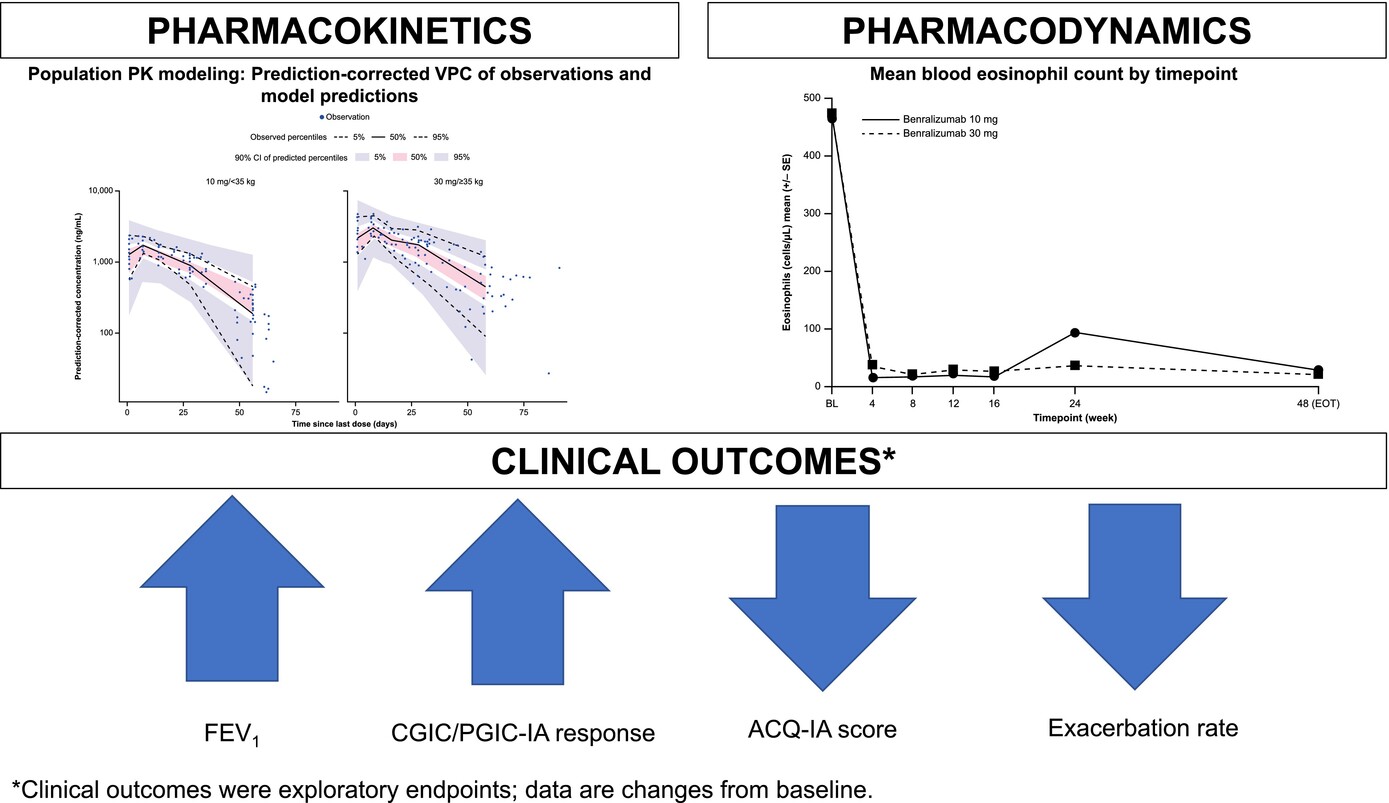 Benralizumab in children with severe eosinophilic asthma: Pharmacokinetics and long-term safety (TATE study)