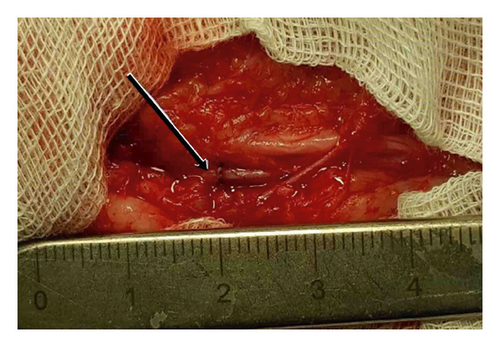 Details are in the caption following the image Details are in the caption following the image