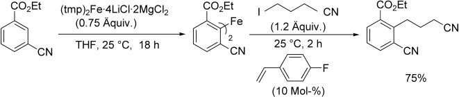 Synthese funktionalisierter Aryl-Eisen(II)-Verbindungen und eine Nickel-katalysierte Kreuzkupplung mit Alkylhalogeniden