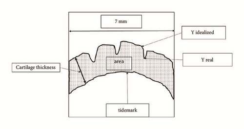 Details are in the caption following the image Details are in the caption following the image