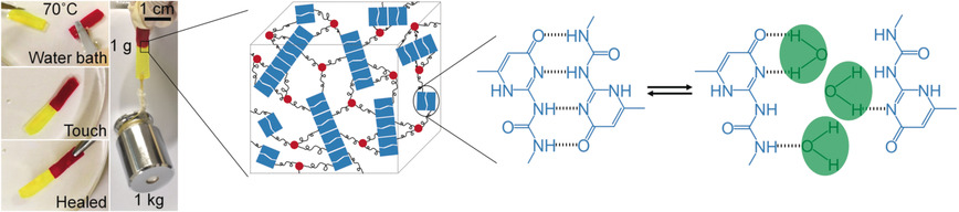 Multiphase-Assembly of Siloxane Oligomers with Improved Mechanical Strength and Water-Enhanced Healing