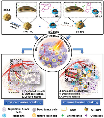 Nanoengineered CAR-T Biohybrids for Solid Tumor Immunotherapy with Microenvironment Photothermal-Remodeling Strategy