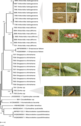 Details are in the caption following the image Details are in the caption following the image