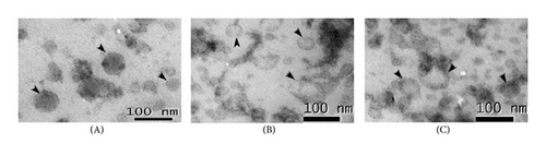 Details are in the caption following the image