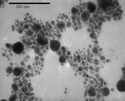 Details are in the caption following the image