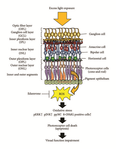 Details are in the caption following the image