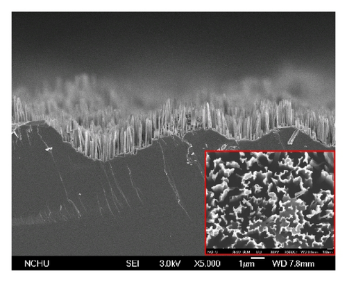 Details are in the caption following the image Details are in the caption following the image
