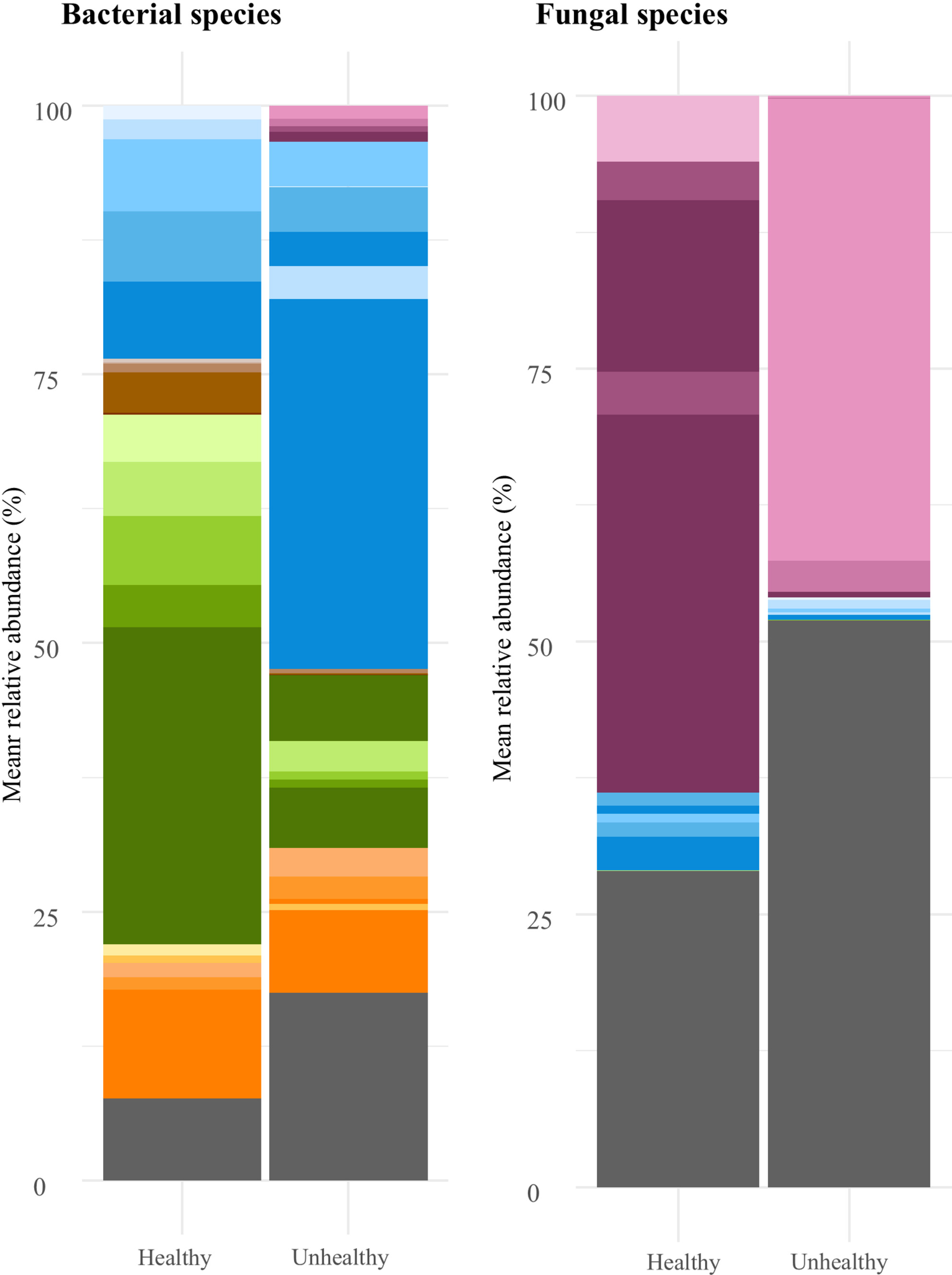 The cutaneous microbiota and Nannizziomycosis in bearded dragons (Pogona vitticeps): Associations between infectious Nannizziopsis species and common bacterial pathogens