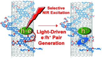 Unambiguous Diagnosis of Photoinduced Charge Carrier Signatures in a Stoichiometrically Controlled Semiconducting Polymer-Wrapped Carbon Nanotube Assembly