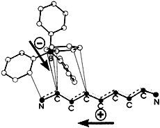 Deformation of Polymethine Structures by Intermolecular Interactions