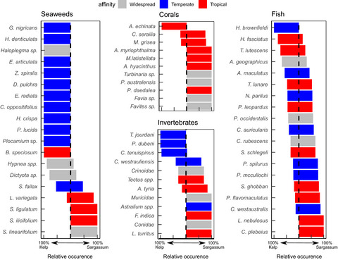 Intergrading reef communities across discrete seaweed habitats in a temperate–tropical transition zone: Lessons for species reshuffling in a warming ocean