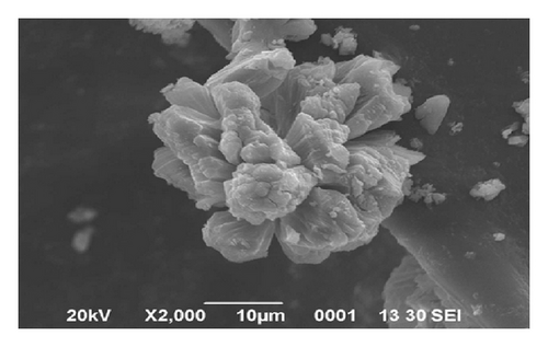 Details are in the caption following the image