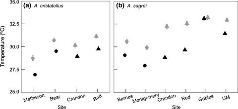 Miami heat: Urban heat islands influence the thermal suitability of habitats for ectotherms