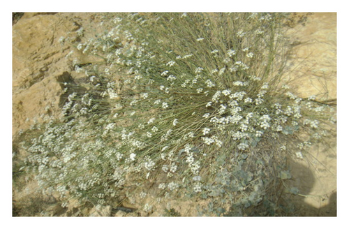 Details are in the caption following the image