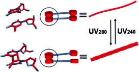Reversible Photochemical Conversion of Helicity in Self-Assembled Nanofibers from a 1,ω-Thymidylic Acid Appended Bolaamphiphile
