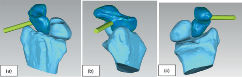 Details are in the caption following the image Details are in the caption following the image