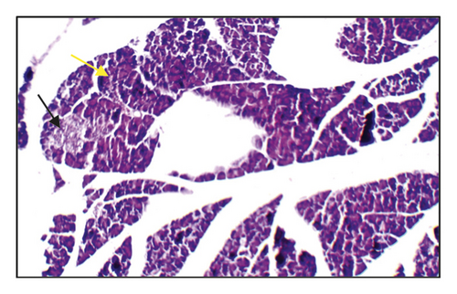 Details are in the caption following the image