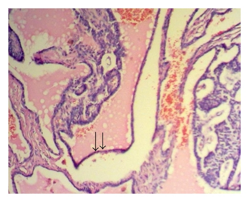 Details are in the caption following the image