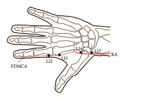 Details are in the caption following the image Details are in the caption following the image