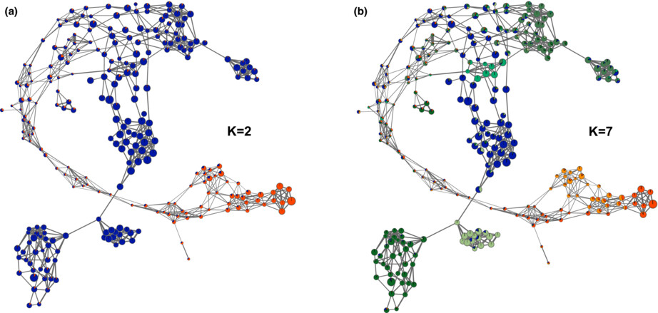 Identification of runs of homozygosity in Western honey bees (Apis mellifera) using whole-genome sequencing data