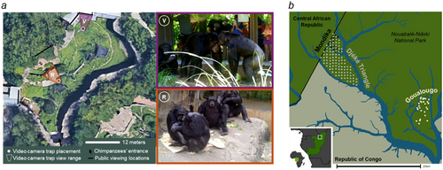 Details are in the caption following the image Details are in the caption following the image