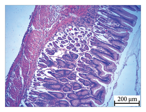 Details are in the caption following the image