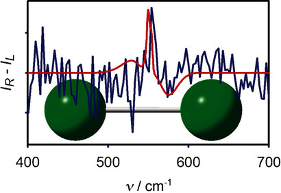 Diamagnetic Raman Optical Activity of Chlorine, Bromine, and Iodine Gases