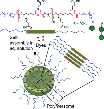 Impact of Tuning the Hydrophobicity in ABA-Type Amphiphilic Polythiourethane on the Dye Loading and Stability of Formed Polymersomes Using Pendant Aromatic Groups