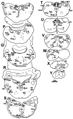 Details are in the caption following the image